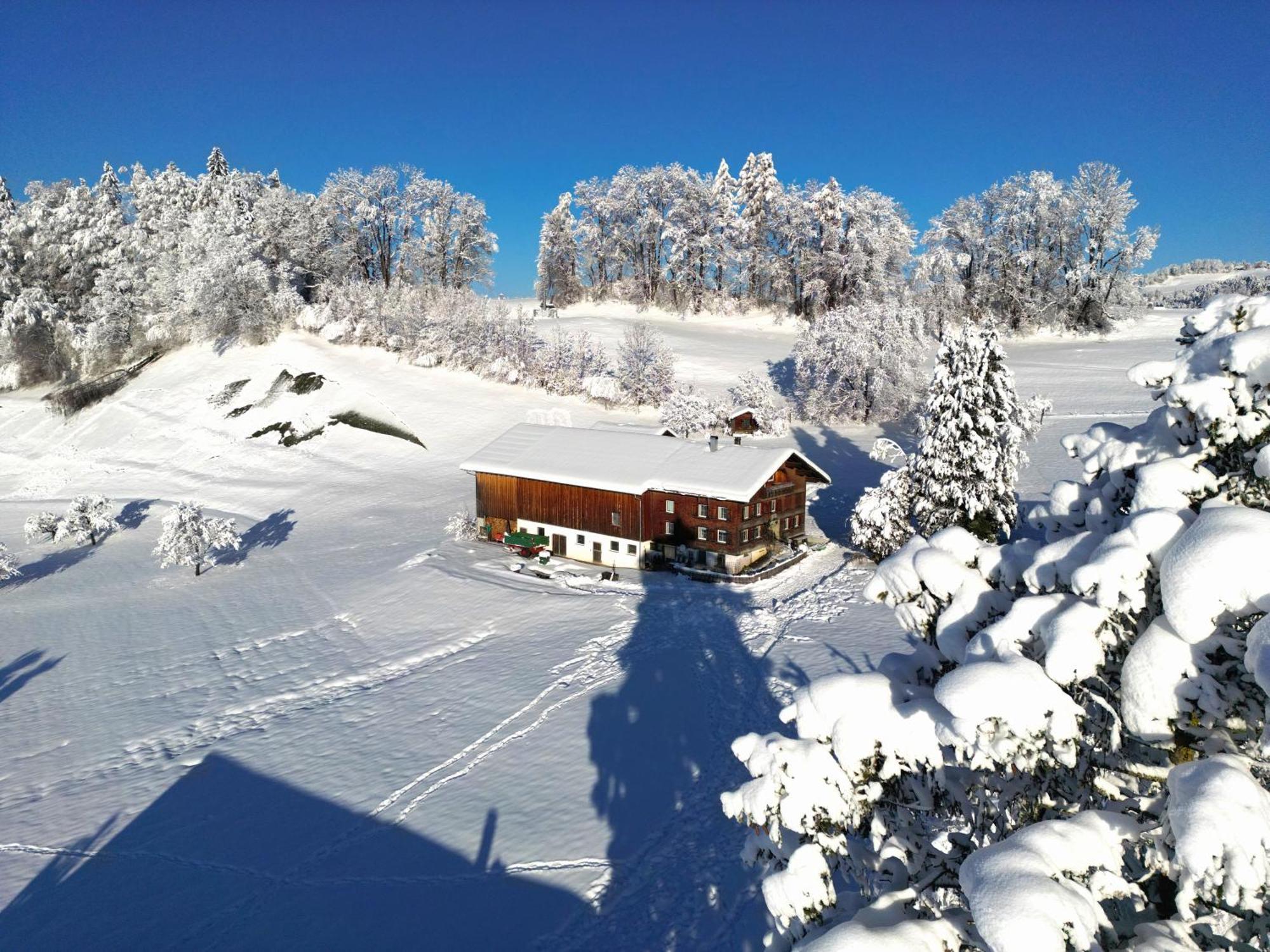 Bergoase Hohenegg Lingenau Exterior foto