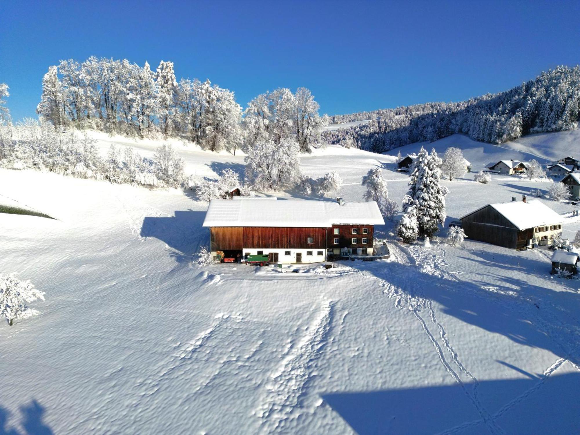 Bergoase Hohenegg Lingenau Exterior foto
